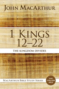 Cover of 1 Kings 12 to 22