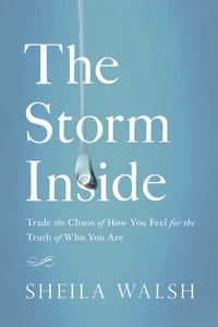 Cover of The Storm Inside