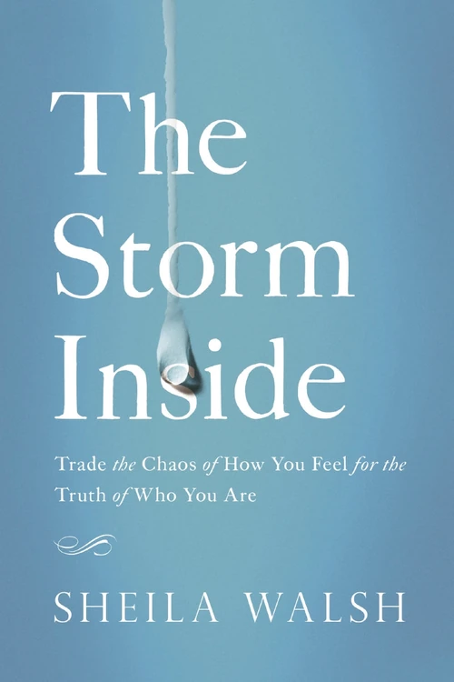 Cover of The Storm Inside