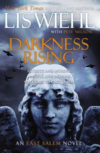 Cover of Darkness Rising