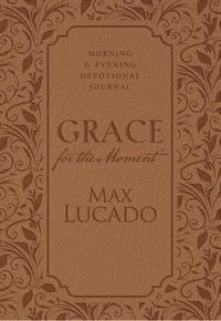 Cover of Grace for the Moment