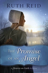 Cover of The Promise of an Angel