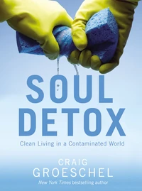 Cover of Soul Detox