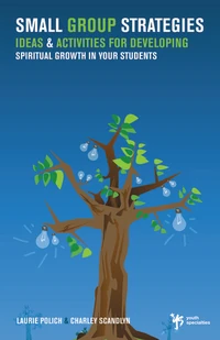 Cover of Small Group Strategies