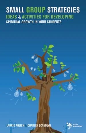 Cover of Small Group Strategies