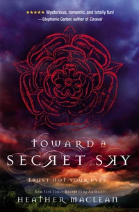 Cover of Toward a Secret Sky