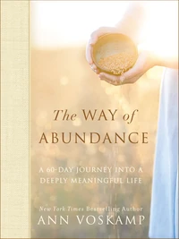 Cover of The Way of Abundance