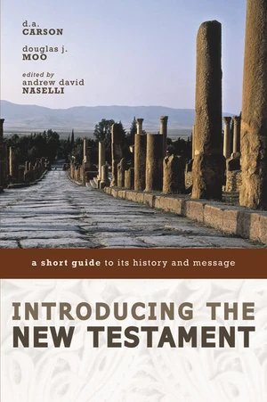 Cover of Introducing the New Testament