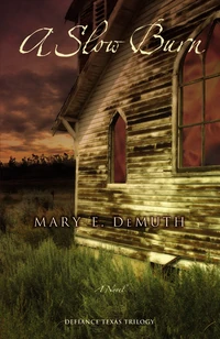 Cover of A Slow Burn