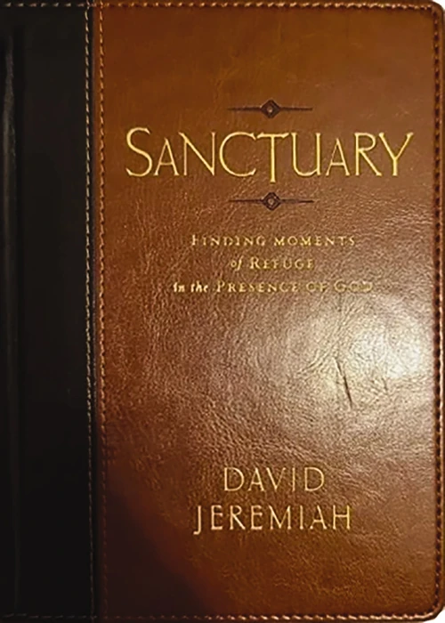 Cover of Sanctuary