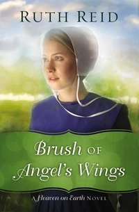 Cover of Brush of Angel's Wings