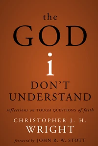 Cover of The God I Don't Understand