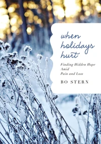 Cover of When Holidays Hurt
