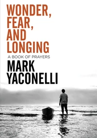 Cover of Wonder, Fear, and Longing