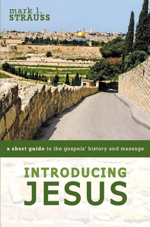 Cover of Introducing Jesus
