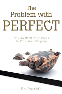 Cover of The Problem with Perfect