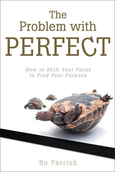 Cover of The Problem with Perfect