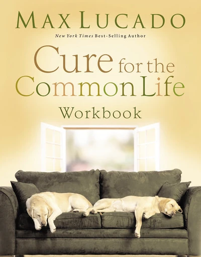 Cover of Cure for the Common Life Workbook