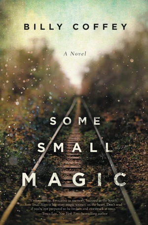 Cover of Some Small Magic