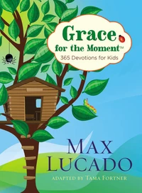 Cover of Grace for the Moment