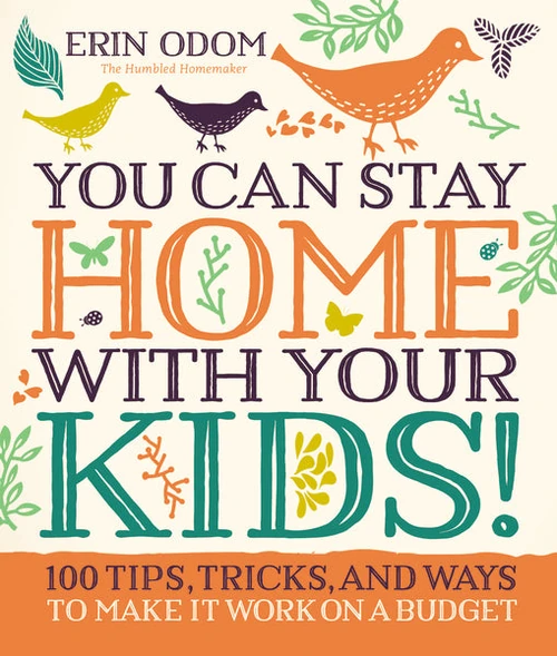 Cover of You Can Stay Home with Your Kids!