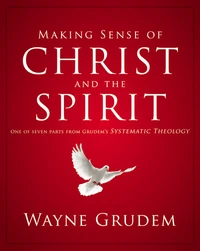 Cover of Making Sense of Christ and the Spirit