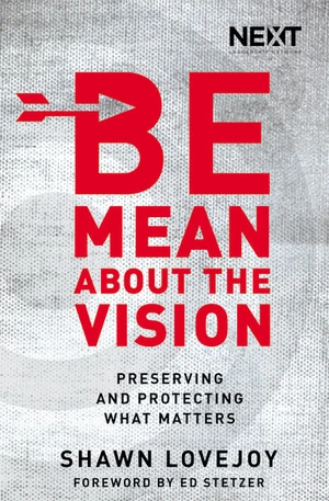 Cover of Be Mean About the Vision