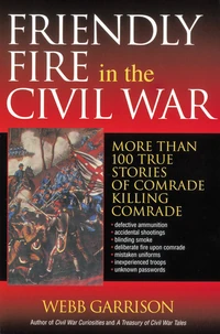 Cover of Friendly Fire in the Civil War