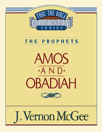 Cover of Thru the Bible Vol. 28