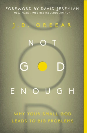 Cover of Not God Enough