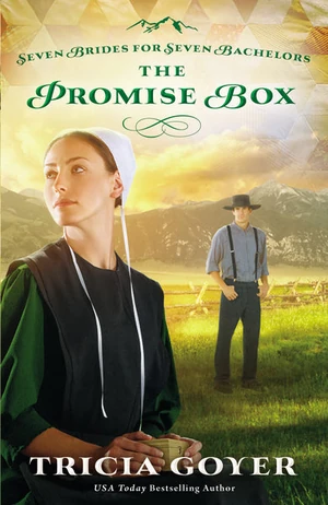Cover of The Promise Box