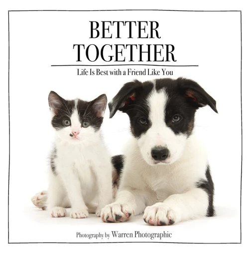 Cover of Better Together