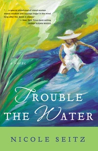 Cover of Trouble the Water