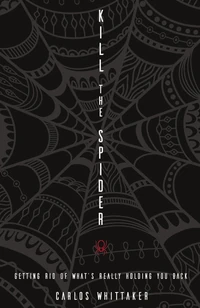 Cover of Kill the Spider