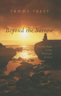 Cover of Beyond the Sorrow