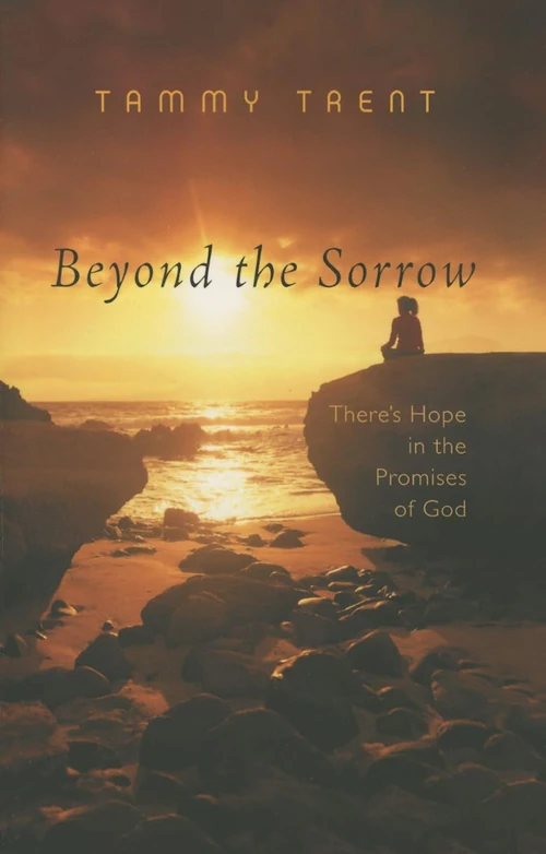 Cover of Beyond the Sorrow
