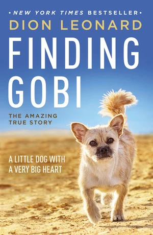 Cover of Finding Gobi