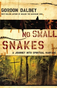 Cover of No Small Snakes