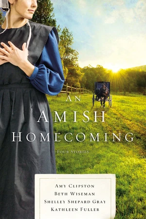 Cover of An Amish Homecoming