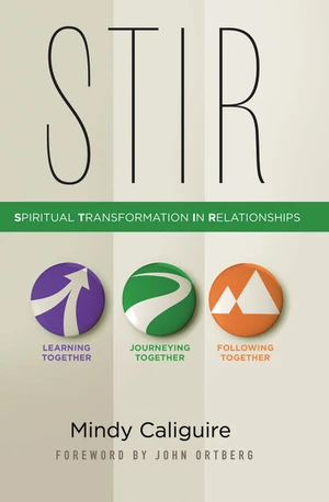 Cover of STIR