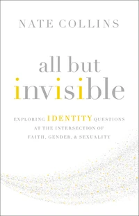 Cover of All But Invisible