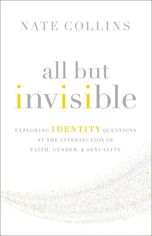 Cover of All But Invisible