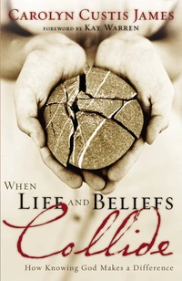 Cover of When Life and Beliefs Collide