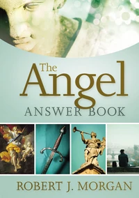 Cover of The Angel Answer Book