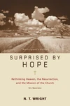Cover of Surprised by Hope Bible Study Participant's Guide