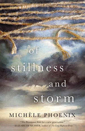 Cover of Of Stillness and Storm