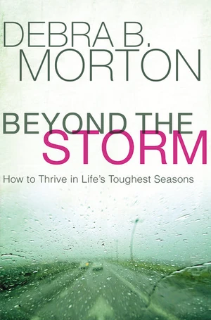 Cover of Beyond the Storm