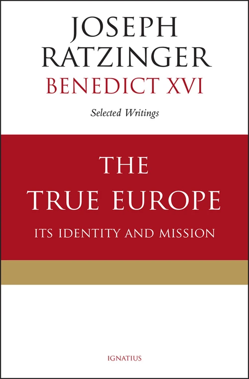 Cover of The True Europe