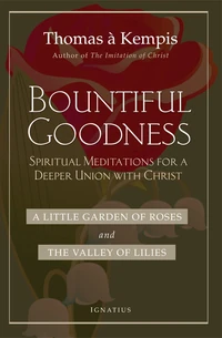 Cover of Bountiful Goodness