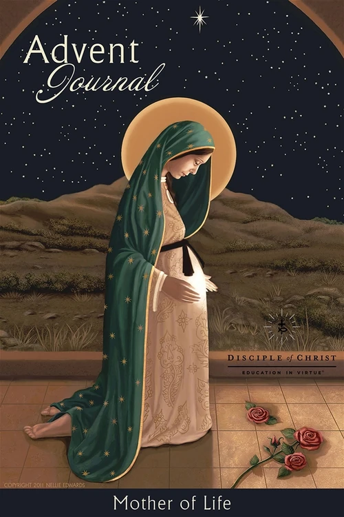 Cover of Education in Virtue
